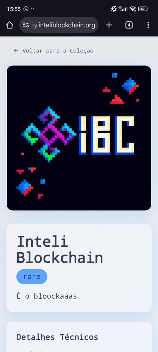 Detalhes da missão do projeto